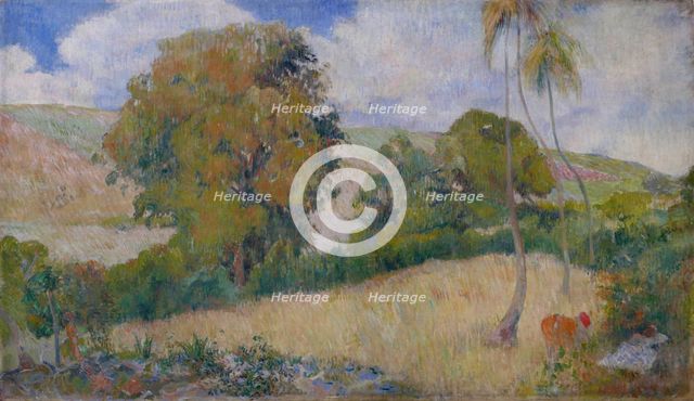 Meadow on Martinique, 1887. Creator: Gauguin, Paul Eugéne Henri (1848-1903).