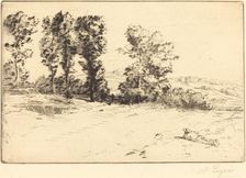 Meadow in Sunshine (Le pre ensoleille). Creator: Alphonse Legros