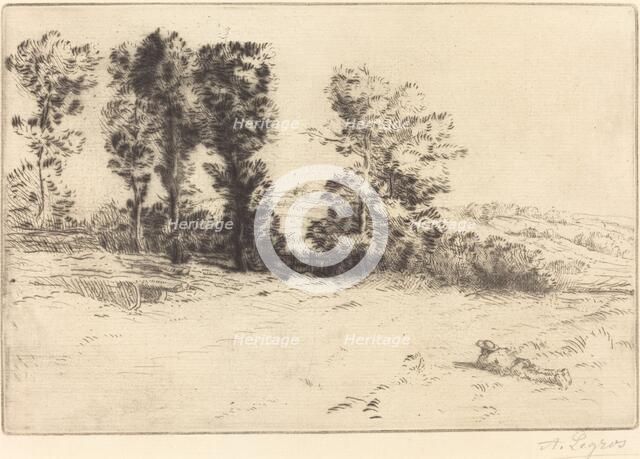 Meadow in Sunshine (Le pre ensoleille). Creator: Alphonse Legros.