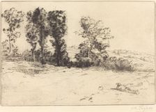Meadow in Sunshine (Le pre ensoleille). Creator: Alphonse Legros