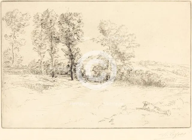 Meadow in Sunshine (Le pre ensoleille). Creator: Alphonse Legros.