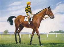 Meadow, Jockey: T. Weston 1939