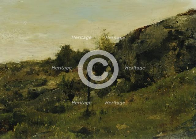 Meadow landscape with rocks, c1860/1870. Creator: Johann Till.