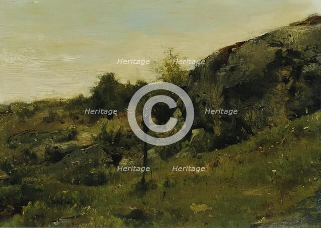 Meadow landscape with rocks, c1860/1870. Creator: Johann Till.