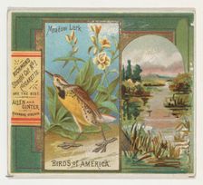 Meadow Lark, from the Birds of America series (N37) for Allen & Ginter Cigarettes, 1888. Creator: Allen & Ginter