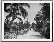 Meadow St., Bain's Town, Nassau, Bahama Islds., c1901. Creator: William H. Jackson