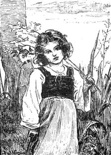 Meadow-Sweet by F. Morgan:...Institute of Painters in Oil Colours, 1883. Creator: Unknown