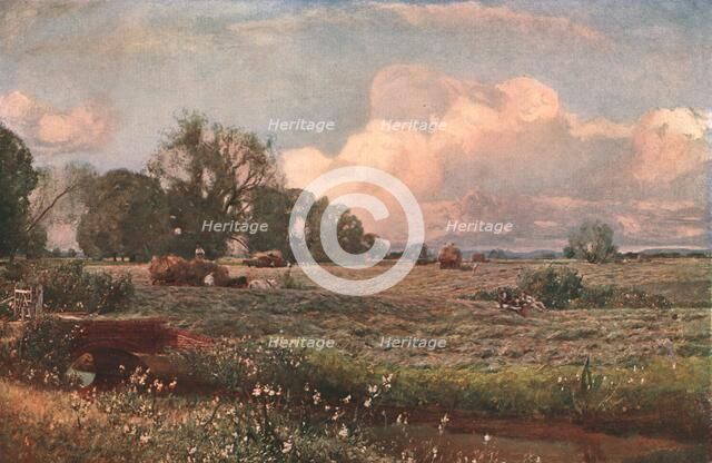 'Meadow Sweets', 1893, (c1902). Creator: Unknown.