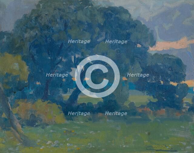 Meadow with a Group of Trees, around 1910. Creator: Ludovit Cordak.