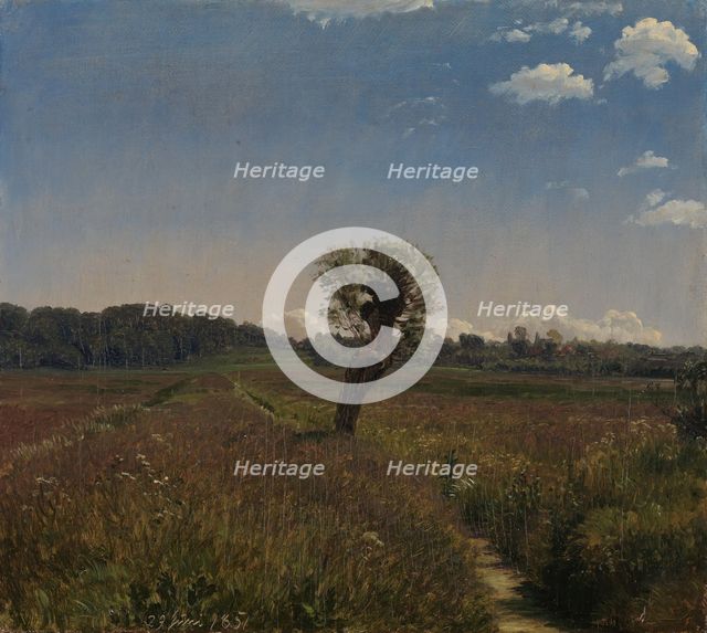 Meadow with a Solitary Willow, 1851. Creator: Peter Christian Thamsen Skovgaard.