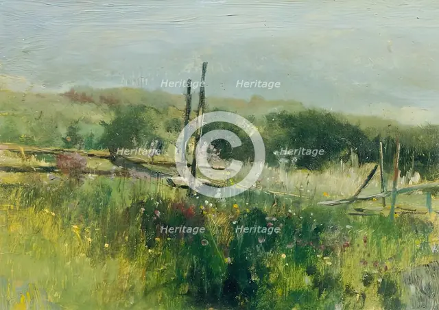 Meadow with fence, c1870/1880. Creator: Johann Till.