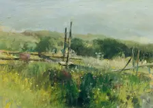 Meadow with fence, c1870/1880. Creator: Johann Till