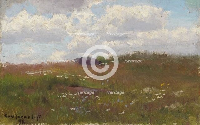 Meadow with Summer Flowers, 1892. Creator: Eero Jarnefelt.
