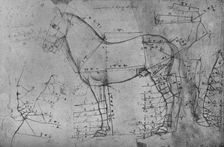 Measured Drawing of a Horse in Profile to the Left c1480 (1945). Artist: Leonardo da Vinci