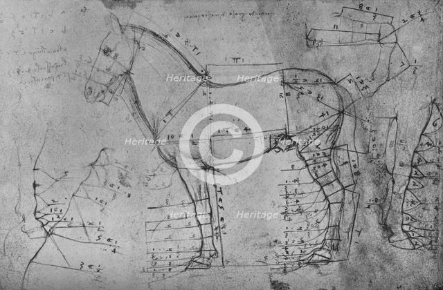 'Measured Drawing of a Horse in Profile to the Left', c1480 (1945). Artist: Leonardo da Vinci.