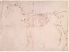 Measured working drawing for The First Anatomical Table of the Skeleton of the Horse 1756. Creator: George Stubbs