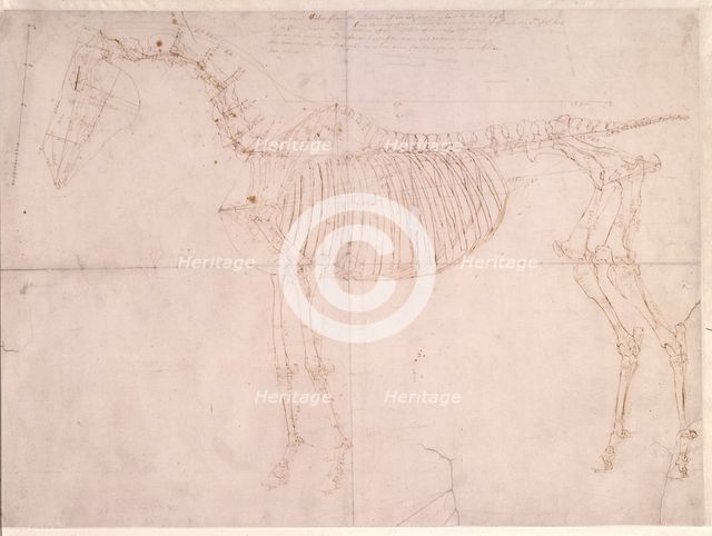 Measured working drawing for 'The First Anatomical Table of the Skeleton of the Horse', 1756. Creator: George Stubbs.