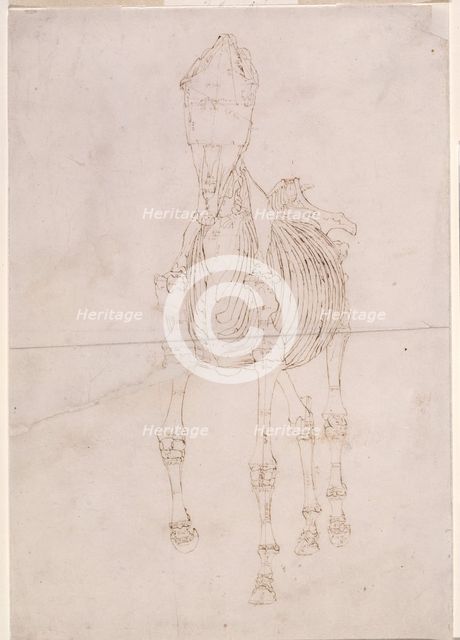 Measured working drawing for 'The Second Anatomical Table of the Skeleton of the Horse', 1756. Creator: George Stubbs.