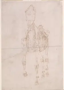 Measured working drawing for The Second Anatomical Table of the Skeleton of the Horse 1756. Creator: George Stubbs
