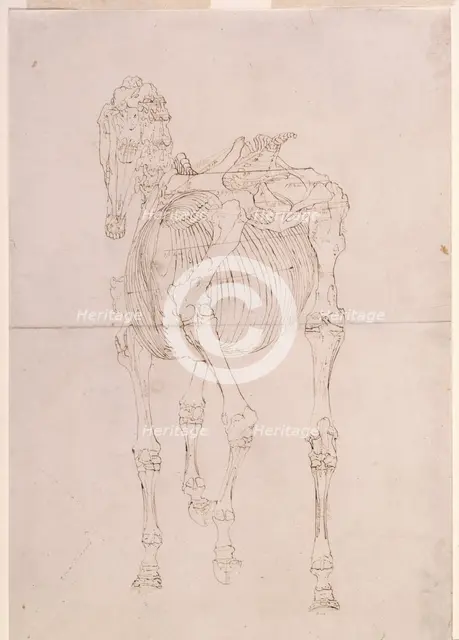 Measured working drawing for 'The Third Anatomical Table of the Skeleton of the Horse', 1756. Creator: George Stubbs.