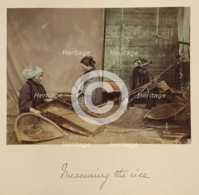 Measuring the Rice, about 1873-1883. Creator: Shinichi Suzuki I.