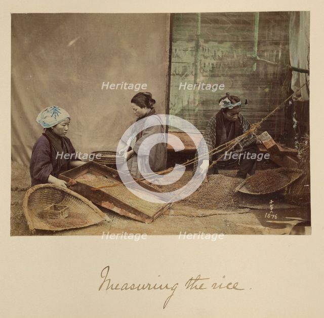 Measuring the Rice, about 1873-1883. Creator: Shinichi Suzuki I.