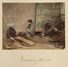 Measuring the Rice, about 1873-1883. Creator: Shinichi Suzuki I