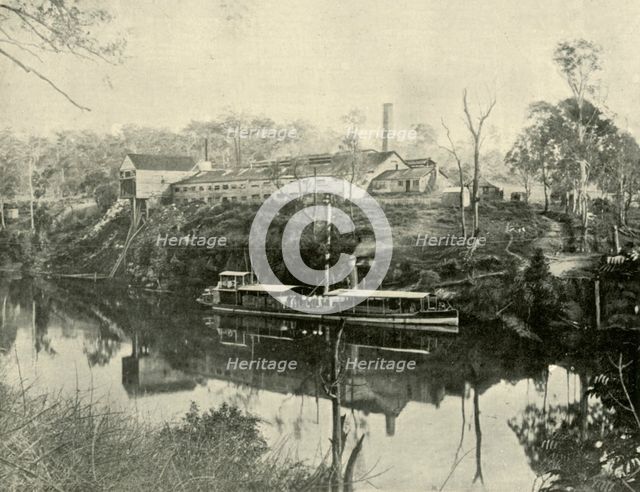 'Meat Works, near Grafton, New South Wales', 1901. Creator: Unknown.