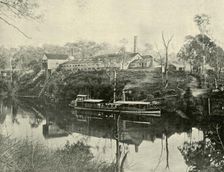 Meat Works, near Grafton, New South Wales 1901. Creator: Unknown