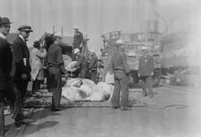 Meat for NEW YORK, between c1910 and c1915. Creator: Bain News Service