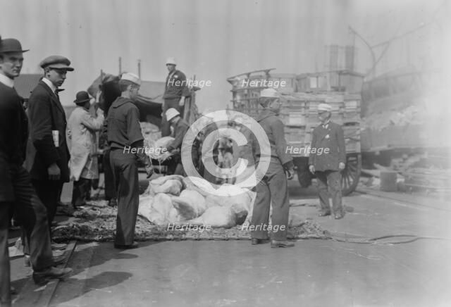 Meat for NEW YORK, between c1910 and c1915. Creator: Bain News Service.