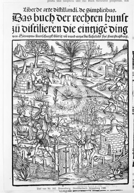 Medicinarius. Das buch der Gesundheit. Liber de arte distillandi Simplicia et Composita, 1505. Creator: Johann Gruninger.