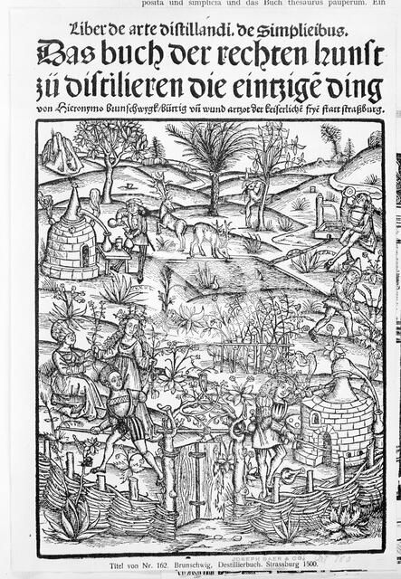 Medicinarius. Das buch der Gesundheit. Liber de arte distillandi Simplicia et Composita, 1505. Creator: Johann Gruninger.