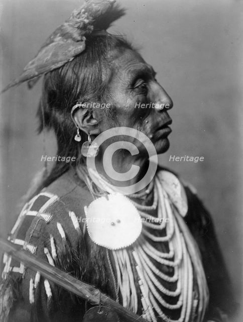 Medicine Crow-Apsaroke, c1908. Creator: Edward Sheriff Curtis.