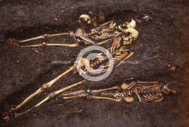 Medieval burial site, Ebor Brewery, York, 20th century.  Artist: CM Dixon.