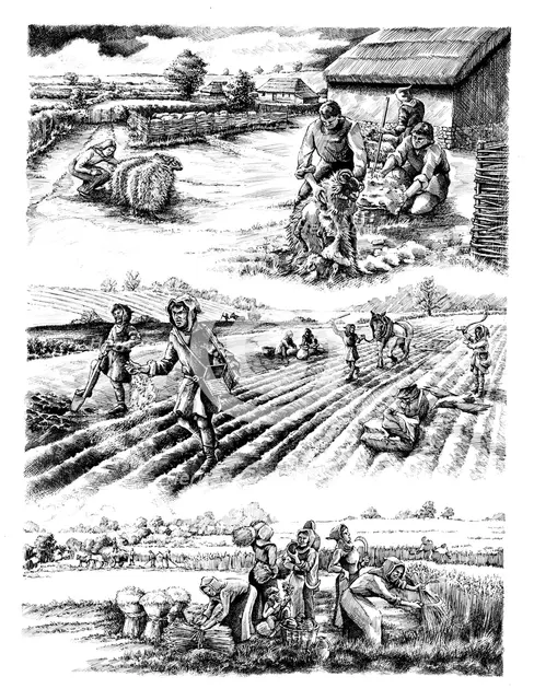 Medieval farming, c5th-15th century, (c1980-2010) Artist: Peter Dunn.