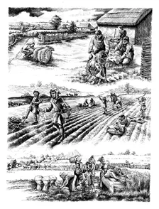 Medieval farming, c5th-15th century, (c1980-2010) Artist: Peter Dunn