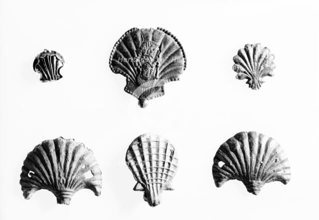 Medieval pilgrim badges in the shape of scallop shells. Artist: Unknown