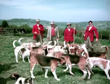 Meet of foxhounds at Hawley, Somerset, c1955-1970. Creator: Arthur Charles Kirby Ware
