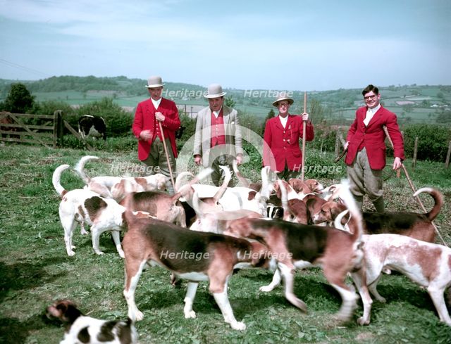 Meet of foxhounds at Hawley, Somerset, c1955-1970. Creator: Arthur Charles Kirby Ware.