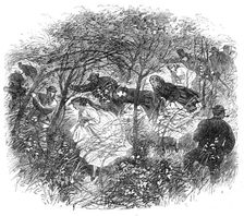 Meeting of the British Association at Birmingham:..."Pursuit of Science Under Difficulties", 1865. Creator: Unknown