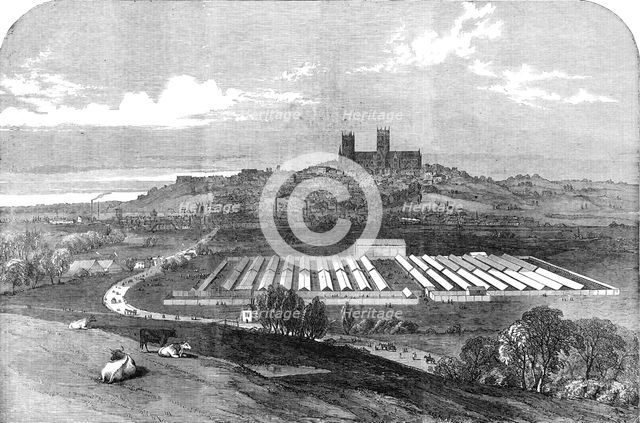 Meeting of the Royal Agricultural Society, at Lincoln, 1854. Creator: Unknown.