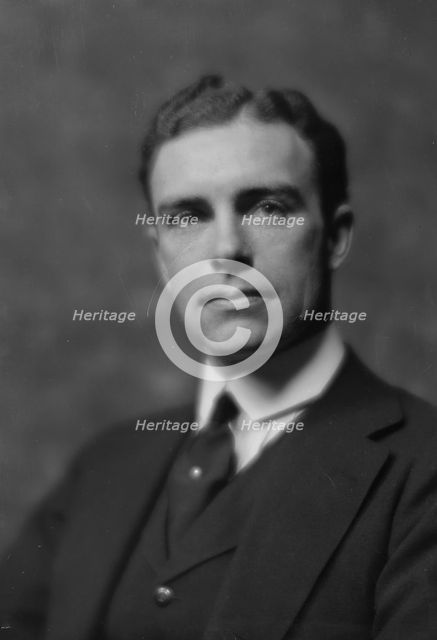 Meigs, Dwight R., Mr., portrait photograph, 1915 Jan. 3. Creator: Arnold Genthe.