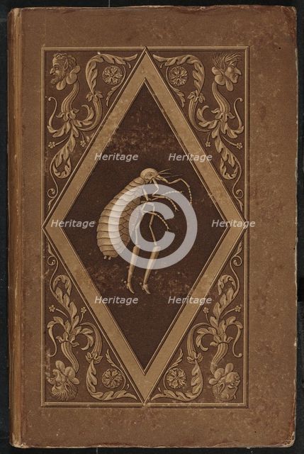 Meister Floh. Ein Marchen in sieben Abentheuern zweier Freunde (Master Flea..., 1822. Creators: Karl Friedrich Thiele, Ernst Theodor Amadeus Hoffmann.