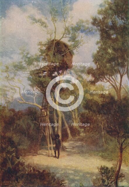 'Melanesian Tree-House', 1924. Artist: Unknown.