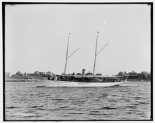 Melissa, between 1880 and 1899. Creator: Unknown