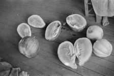 Melons on Frank Tengle's porch. Hale County, Alabama, 1936. Creator: Walker Evans