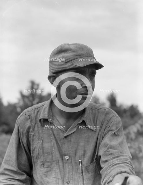 Member of the Delta cooperative farm at Hillhouse, Mississippi, 1937. Creator: Dorothea Lange.