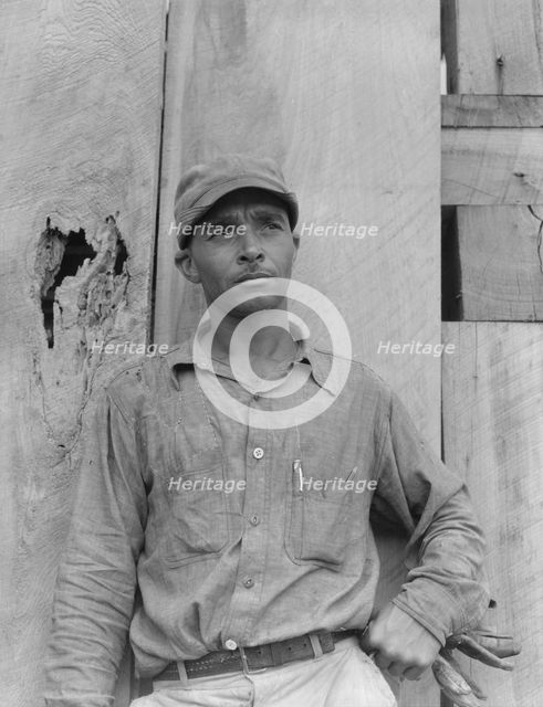 Member of the Delta cooperative farm, Hillhouse, Mississippi, 1937. Creator: Dorothea Lange.