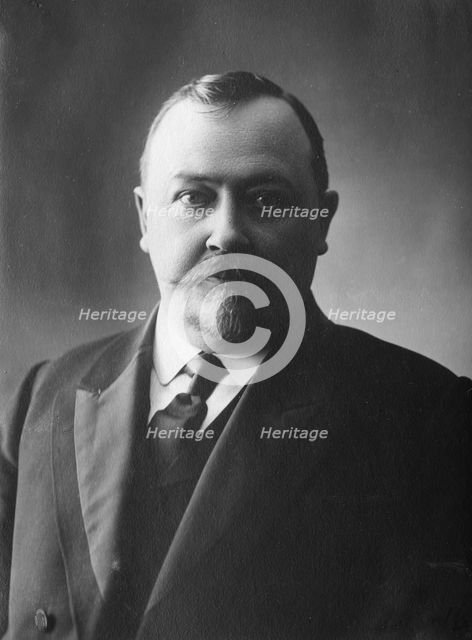 Member of the exhibition bureau Ya.I. Korvin-Krukovsky, 1911. Creator: A. A. Antonov.